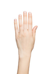 Fototapeta premium Beautiful woman's hands isolated on white background