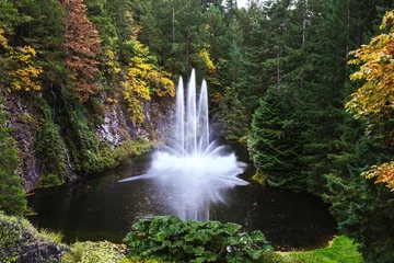 Photo sur Plexiglas Fontaine The tremendous fountain in lake