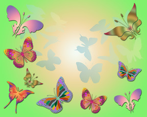 Spring butterflies card