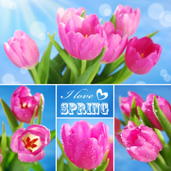 collage with pink tulips and text