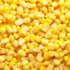 tinned corn background