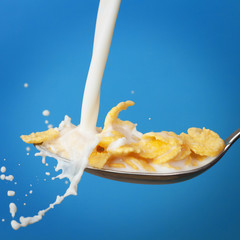 Naklejka na ściany i meble milk splashing into spoon with cornflakes