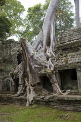 Cambodia, ancient Temple, Angkor Wat