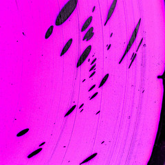 speckled texture