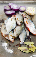 fresh water fish - young bream with garlic and spices