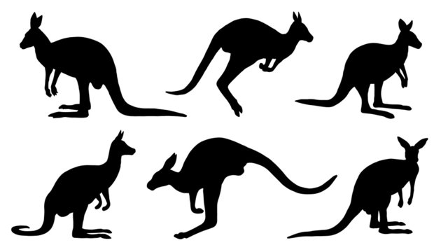 kangaroo silhouettes