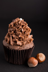 Chocolate cupcake with hazelnut on dark background