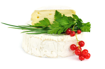 Camembert cheese with red currants and parsley on white