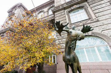 Finnish Museum of Natural History in Helsinki