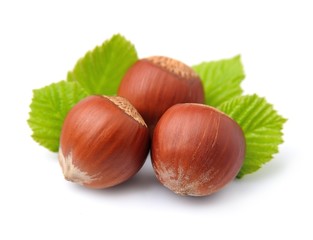 Filbert nuts with leaf