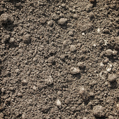 Growth concept in soil