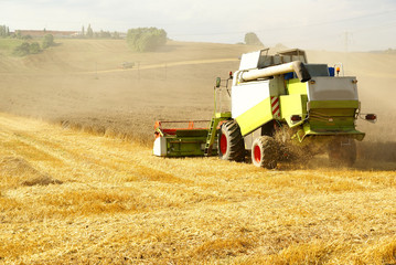 combine harvester on field