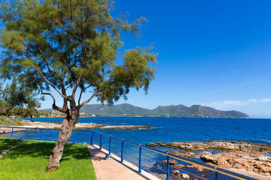 Majorca Cala Bona beach Son Servera Mallorca