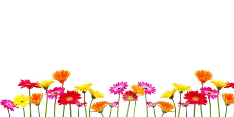 Deurstickers Bloemen uitgeknipt © drubig-photo
