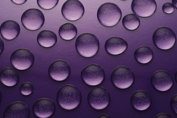 drops of water close-up on a violet background.