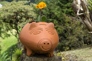 cerdito ahorro naturaleza II