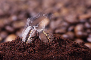 macro closeup smoky roast coffee beans