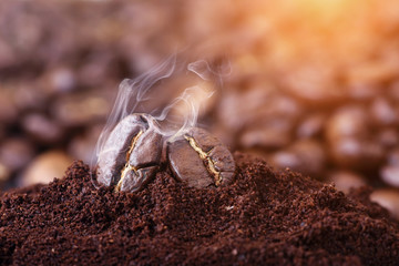 macro closeup smoky roast coffee beans
