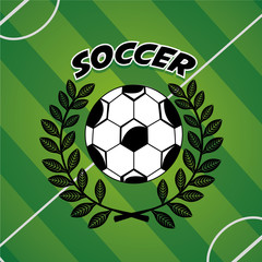 soccer sport