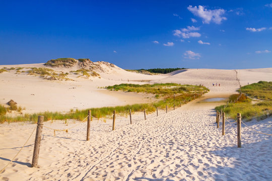 Moving dunes park near Baltic Sea in Leba, Poland
