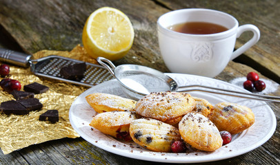 Madeleine  cookies with cranberries and chocolate