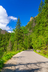 Fototapeta premium Beautiful scenery of the trail in Tatra mountains, Poland