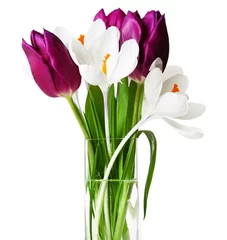 Papier Peint photo Crocus Fresh bouquet with tulips and crocus isolated on white