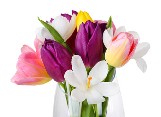 Fresh bouquet with tulips and crocus isolated on white