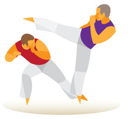 brazilian martial arts