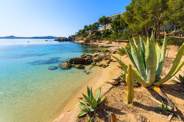 Turquoise sea of Cala Fornells beach, Majorca island, Spain