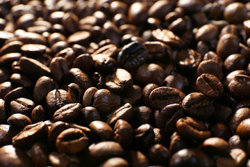 Coffee beans, closeup
