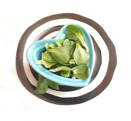 Grüner Feldsalat