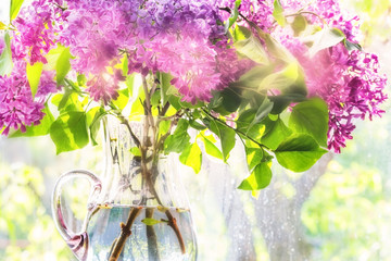 Flowering branch of lilac in a glass jar