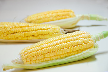 Sweet corn