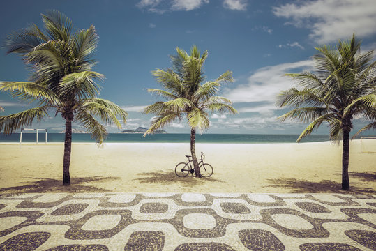 Palms on Ipanema Beach in Rio de Janeiro, Brazil