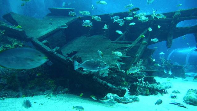 Engine room of a shipwreck