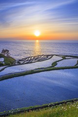 Fototapeta premium Rice terraces at sunset, Shiroyone senmaida, Ishikawa