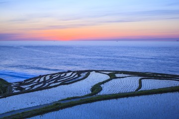 Rice terraces at twilight, Shiroyone senmaida, Ishikawa