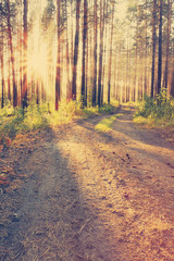 Obraz premium sunset, instagram retro style