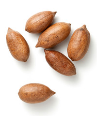 Pecan nuts in nutshells