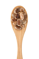 Brown beans on wooden spoon