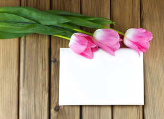 Top view of pink tulips with white sheet of paper