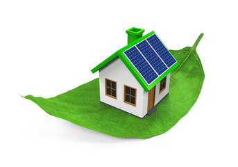 House on Leaf Isolated