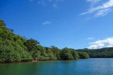 Fototapeta premium Prefektura Okinawa Wyspa Iriomote Rzeka Urauchi