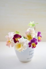 パンジーの花あしらい