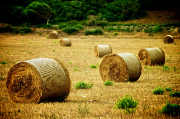 Straw Bales