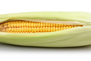 Corn © mates
