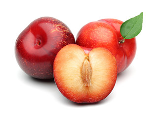 Plum