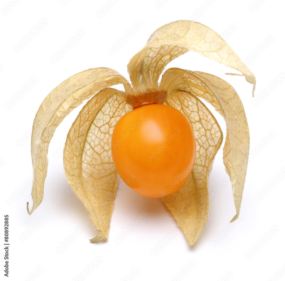 Sticker physalis fruit