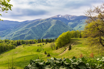 Carpathian spring landscape